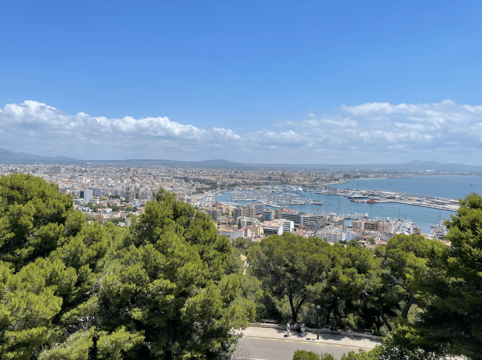 AIDA Kreuzfahrt - Mittelmeer Mallorca
